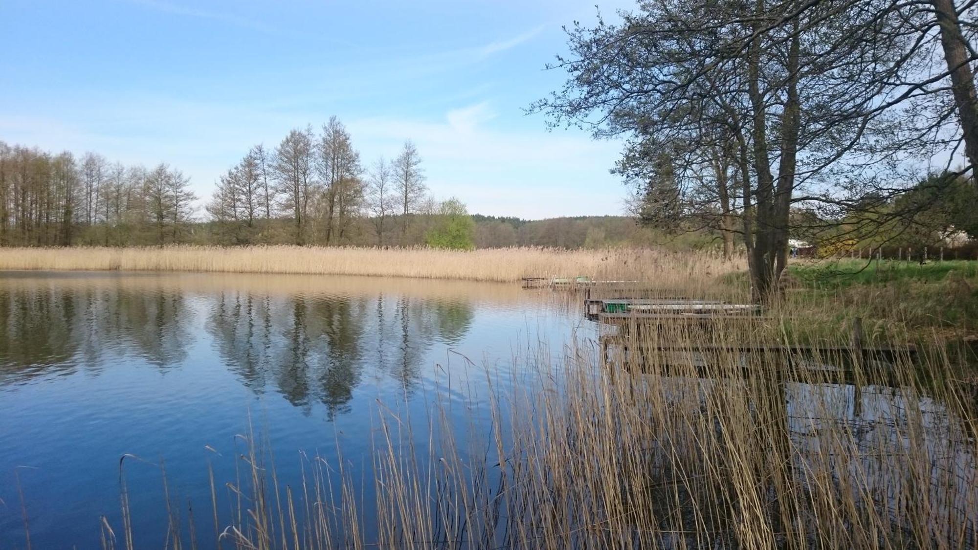 Idyll Im Land Der 1000 Seen Liessow  Екстер'єр фото