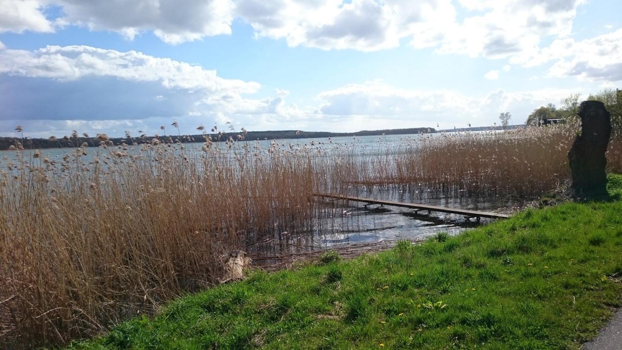 Idyll Im Land Der 1000 Seen Liessow  Екстер'єр фото
